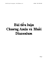 Tiểu luận Chương amin và muối diazonium