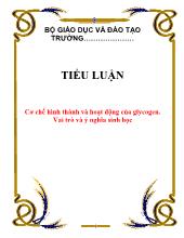 Tiểu luận Cơ chế hình thành và hoạt động của glycogen - Vai trò và ý nghĩa sinh học