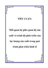 Tiểu luận Mối quan hệ giữa quan hệ sản xuất và trình độ phát triển của lực lượng sản xuất trong quá trình phát triển kinh tế