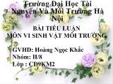 Tiểu luận môn vi sinh vật môi trường - Tìm hiểu về cấu tạo, đặc điểm sinh học của virut, vai trò của virut đối với môi trường