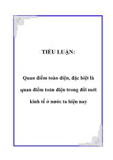 Tiểu luận Quan điểm toàn diện, đặc biệt là quan điểm toàn diện trong đổi mới kinh tế ở nước ta hiện nay