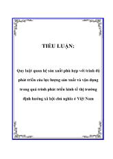 Tiểu luận Quy luật quan hệ sản xuất phù hợp với trình độ phát triển của lực lượng sản xuất và vận dụng trong quá trình phát triển kinh tế thị trường định hướng xã hội chủ nghĩa ở Việt Nam