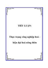 Tiểu luận Thực trạng công nghiệp hoá -Hiện đại hoá nông thôn
