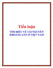 Tìm hiểu về tài nguyên khoáng sản ở Việt Nam