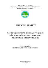 Xây dựng quy trình định danh vi khuẩn gây bệnh loét trên cây bưởi bằng phương pháp sinh học phân tử
