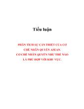 Đề tài Phân tích sự cần thiết của cơ chế nhân quyền asean. cơ chế nhân quyền như thế nào là phù hợp với khu vực