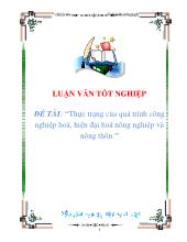 Đề tài Thực trạng của quá trình công nghiệp hoá, hiện đại hoá nông nghiệp và nông thôn