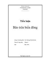 Tiểu luận Bão trên biển đông