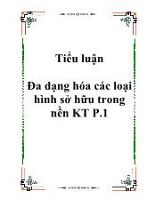 Tiểu luận Đa dạng hóa các loại hình sở hữu trong nền kinh tế