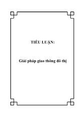 Tiểu luận Giải pháp giao thông đô thị