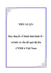Tiểu luận Học thuyết về hình thái kinh tế - Xã hôi và vấn đề quá độ lên chue nghĩa xã hội tại Việt Nam