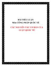 Tiểu luận Môn công pháp quốc tế - Các nguyên tắc cơ bản của luật quốc tế