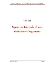 Tiểu luận Nguồn của luật quốc tế- Case Gabcikovo – Nagymaros