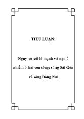 Tiểu luận Nguy cơ xói lở mạnh và nạn ô nhiễm ở hai con sông: sông Sài Gòn và sông Đông Nai
