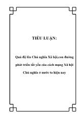 Tiểu luận Quá độ lên Chủ nghĩa Xã hội, con đường phát triển tất yếu của cách mạng Xã hội Chủ nghĩa ở nước ta hiện nay