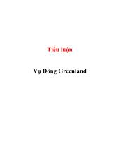 Tiểu luận Vụ đông greenland