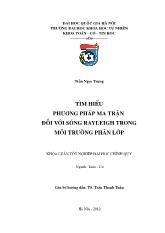 Khóa luận Tìm hiểu phương pháp ma trận đối với sóng rayleigh trong môi trường phân lớp