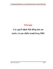 Tiểu luận Các quyết định Hội đồng bảo an trước và sau chiến tranh Iraq2003