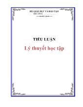 Tiểu luận Lý thuyết học tập