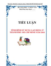 Tiểu luận Tình hình sử dụng lao động ở thành phố Hồ Chí Minh năm 2010