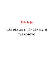 Tiểu luận Vấn đề can thiệp của nato tại kosovo