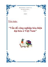 Tiểu luận Vấn đề công nghiệp hóa - Hiện đại hóa ở Việt Nam