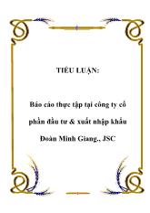 Báo cáo Thực tập tại công ty cổ phần đầu tư và xuất nhập khẩu Đoàn Minh Giang, JSC