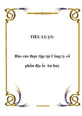 Báo cáo Thực tập tại Công ty cổ phần địa ốc An huy