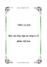 Báo cáo Thực tập tại công ty cổ phần Việt Hoá