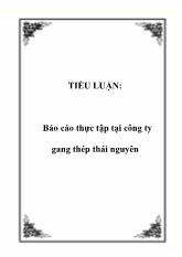 Báo cáo Thực tập tại công ty gang thép Thái Nguyên