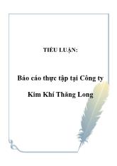 Báo cáo Thực tập tại công ty kim khí Thăng Long