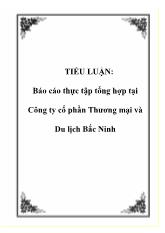 Báo cáo Thực tập tổng hợp tại Công ty cổ phần Thương mại và Du lịch Bắc Ninh