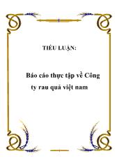 Báo cáo Thực tập về Công ty rau quả Việt Nam