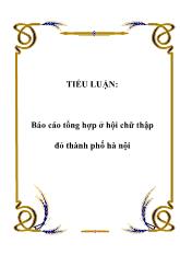 Báo cáo Tổng hợp ở hội chữ thập đỏ thành phố Hà Nội