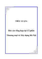Báo cáo Tổng hợp tại cổ phần thương mại và xây dựng Hà Nội