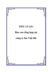 Báo cáo Tổng hợp tại công ty bia Việt Hà