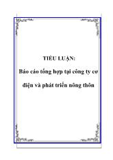 Báo cáo Tổng hợp tại công ty cơ điện và phát triển nông thôn
