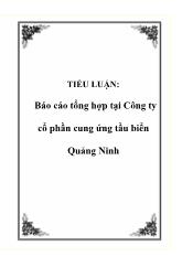 Báo cáo Tổng hợp tại Công ty cổ phần cung ứng tầu biển Quảng Ninh