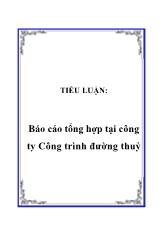Báo cáo Tổng hợp tại công ty Công trình đường thuỷ