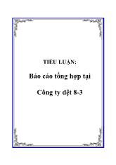 Báo cáo Tổng hợp tại Công ty dệt 8-3