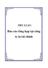 Báo cáo Tổng hợp tại công ty in tài chính