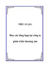Báo cáo Tổng hợp tại công ty phát triển khoáng sản