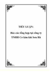 Báo cáo Tổng hợp tại công ty TNHH cơ kim khí Sơn Hà