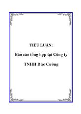 Báo cáo Tổng hợp tại Công ty TNHH Đức Cường