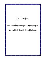 Báo cáo Tổng hợp tại Xí nghiệp dịch vụ và kinh doanh than Hạ Long