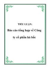 Báo cáo Tổng hợp về Công ty cổ phần Hà Bắc