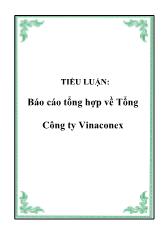 Báo cáo Tổng hợp về Tổng Công ty Vinaconex