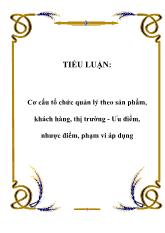Cơ cấu tổ chức quản lý theo sản phẩm, khách hàng, thị trường - Ưu điểm, nhược điểm, phạm vi áp dụng