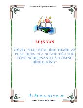 Đề tài Đặc điểm hình thành và phát triển của ngành tiểu thủ công nghiệp sản xuất gốm sứ Bình Dương