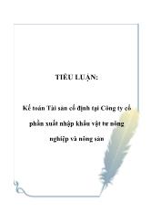 Kế toán Tài sản cố định tại Công ty cổ phần xuất nhập khẩu vật tư nông nghiệp và nông sản